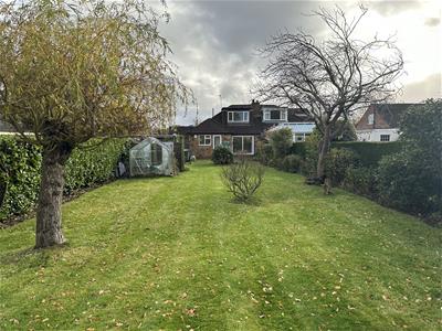 Picture 20